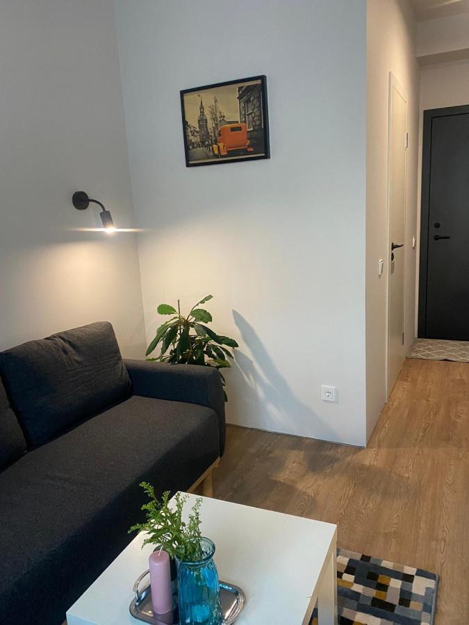 Lovekaunas Apartments Kültér fotó